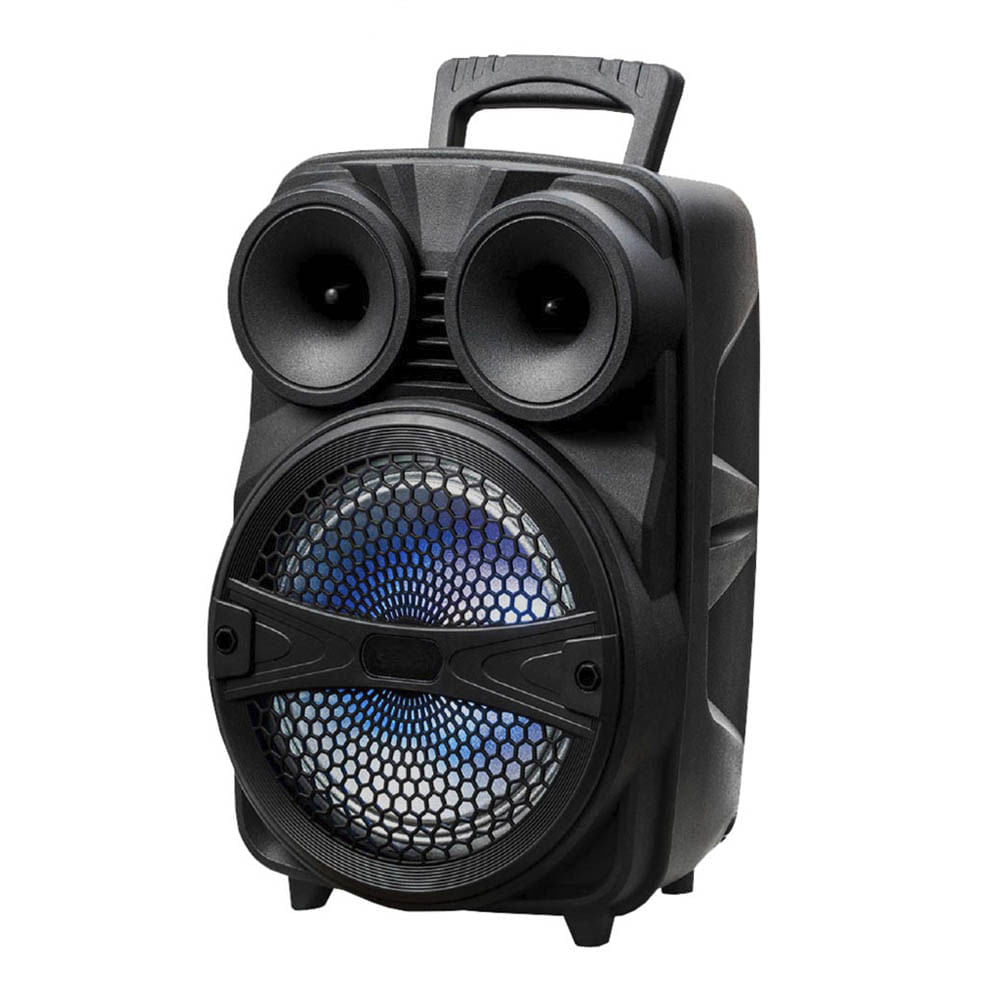Bocina Sankey Recargable Con Bluetooth 8 "