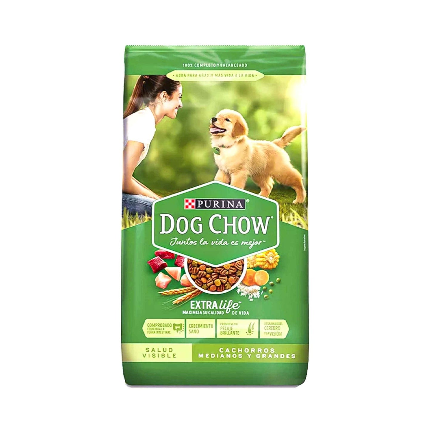 Alimento de Mascota Purina Dog Chow Cachorro 600 g