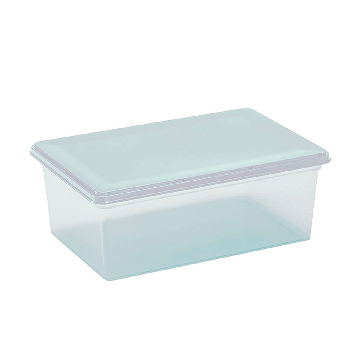 Caja Multiuso Rimax Plastica Ultraliviana 6 L