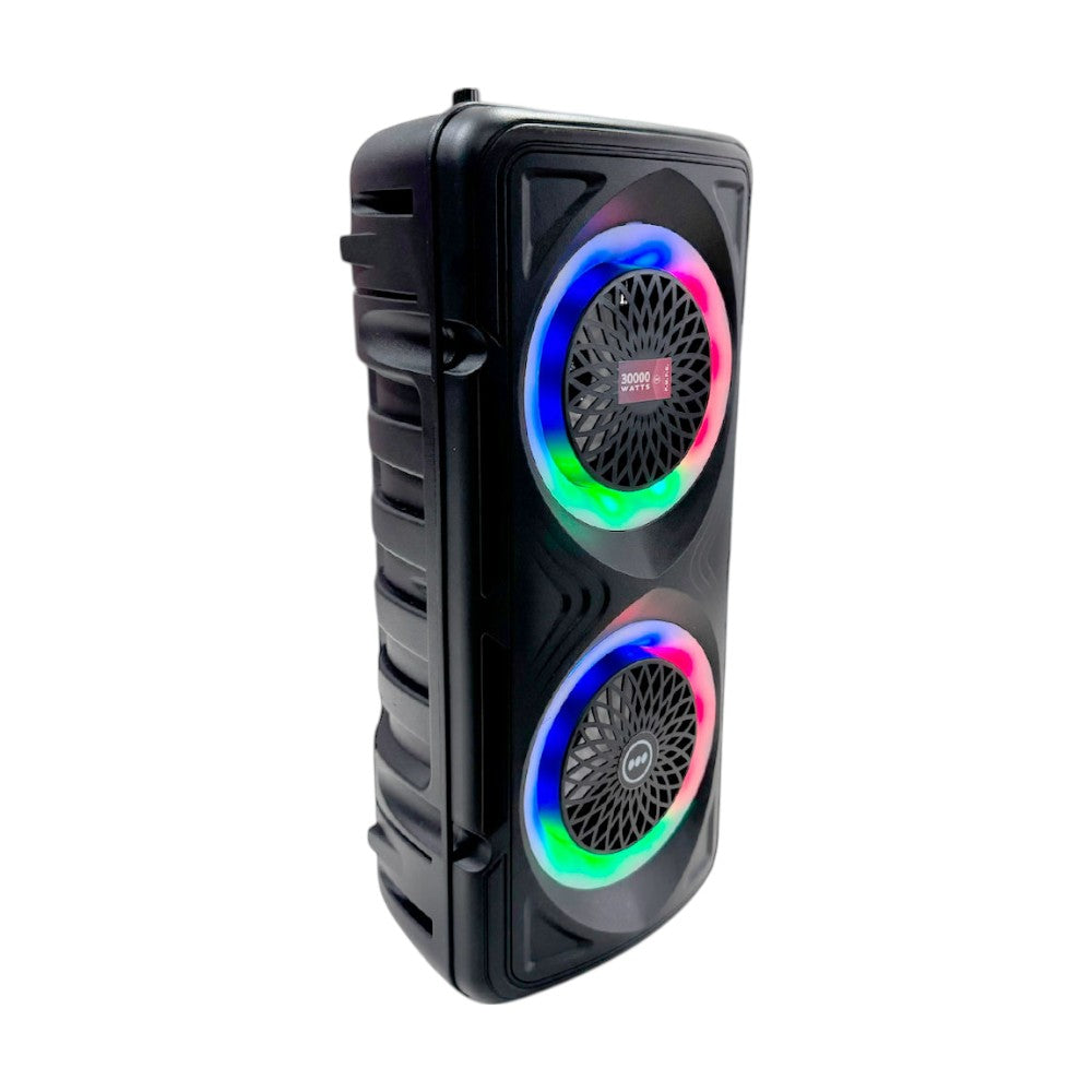 Bocina Recargable Premier 2x4" / 30,000 W / FM / USB / BT