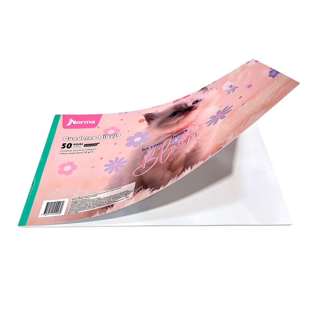 Libreta de Dibujo Norma 50 Hojas 8.5" x 13" - Surtido