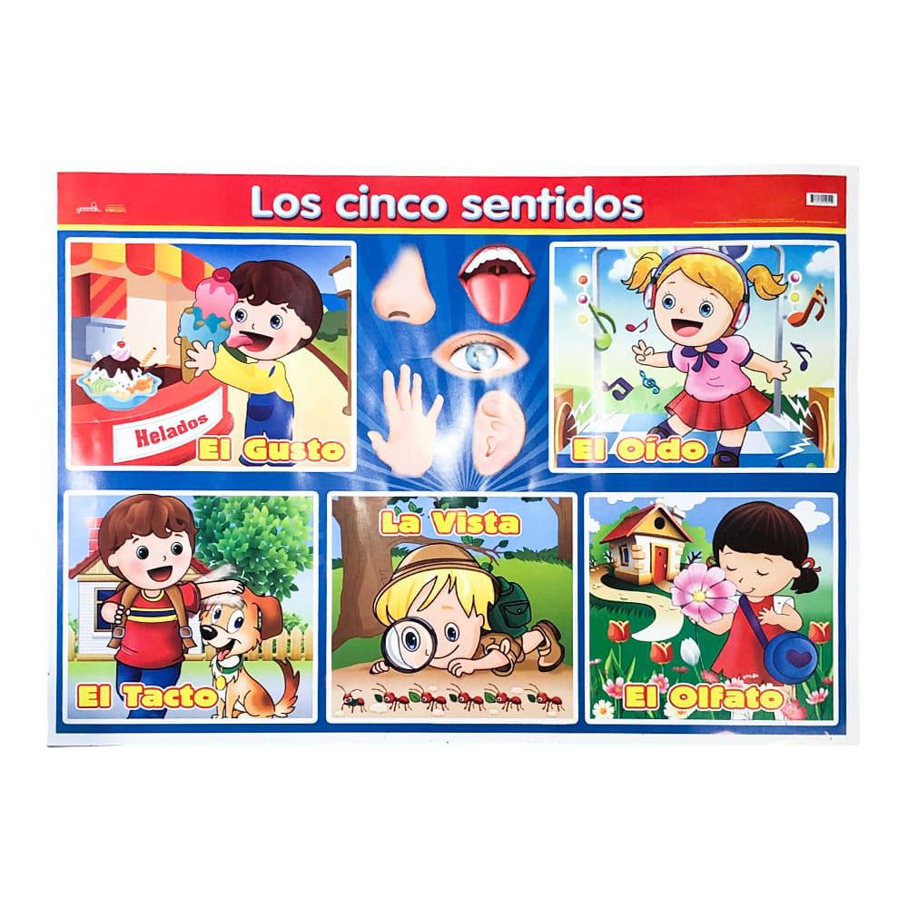 Poster Escolar Granmark Los 5 Sentidos 70 cm x 50 cm