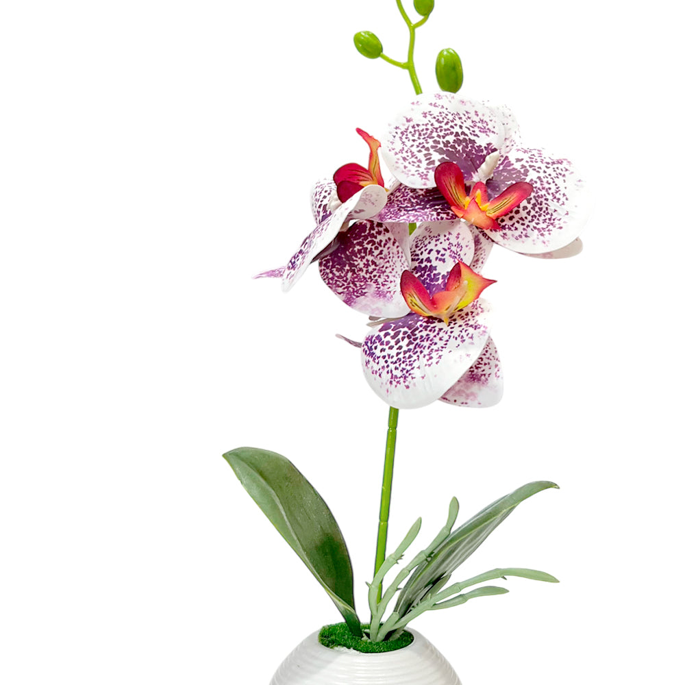 Pote Decorativo Plástico Con Orquideas Home Elegance 2" / Surtidos