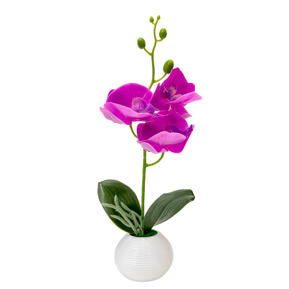 Pote Decorativo Plástico Con Orquideas Home Elegance 2" / Surtidos