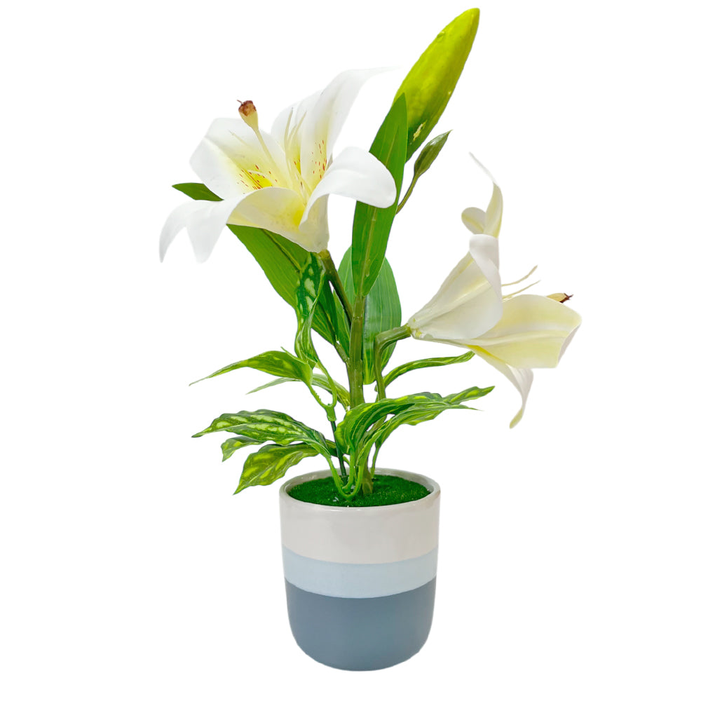 Pote Decorativo Con Orquideas Home Elegance 3" / Surtidos