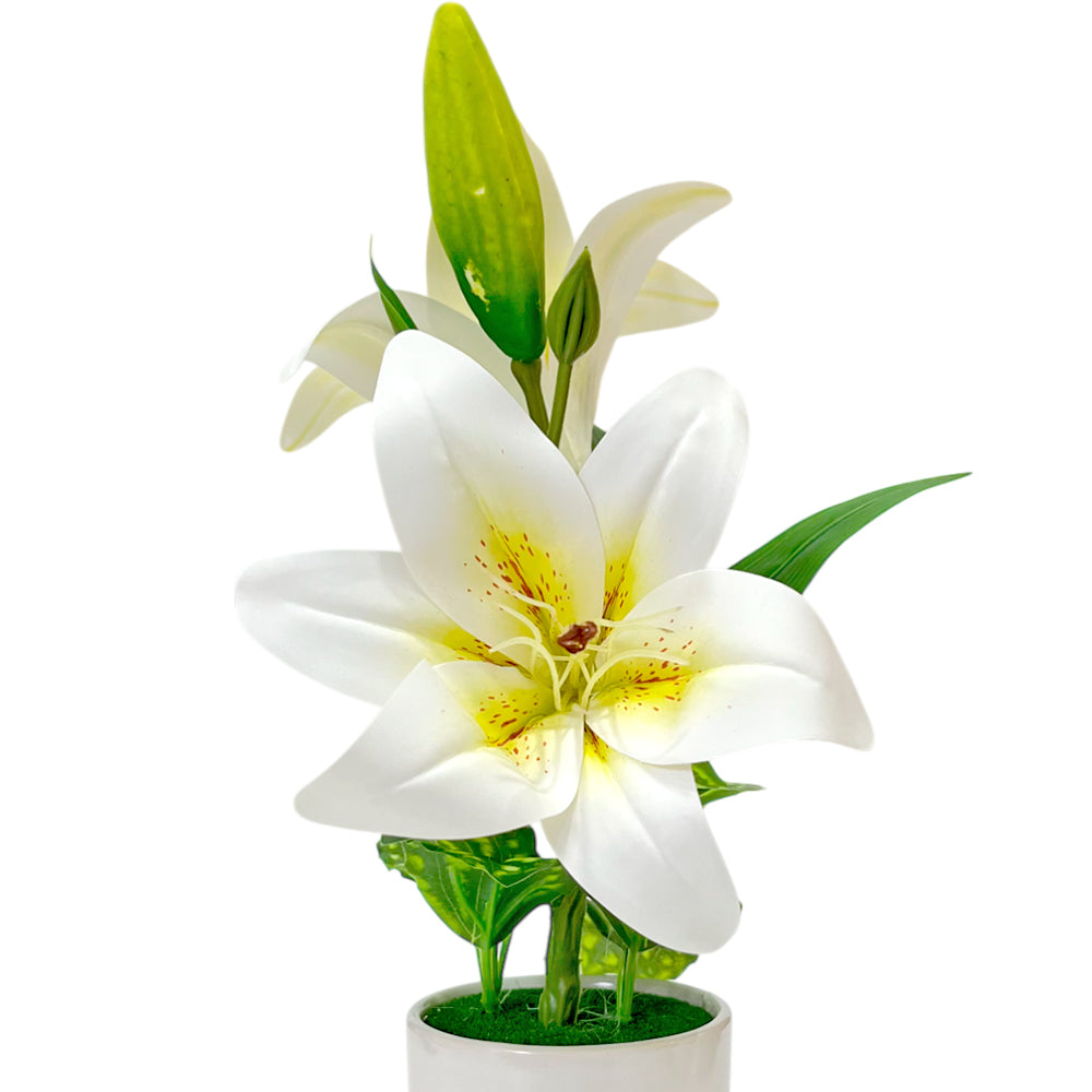 Pote Decorativo Con Orquideas Home Elegance 3" / Surtidos