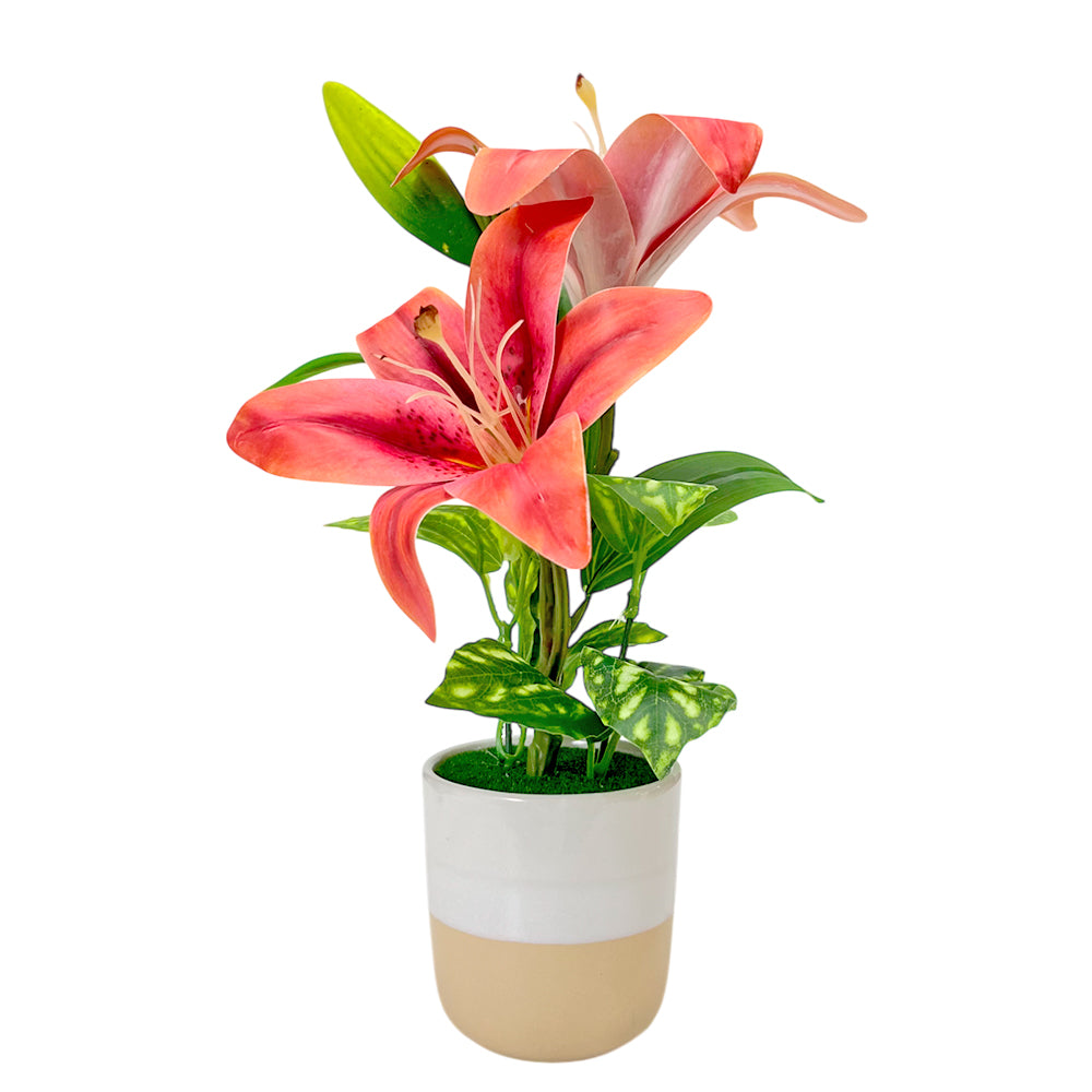 Pote Decorativo Con Orquideas Home Elegance 3" / Surtidos