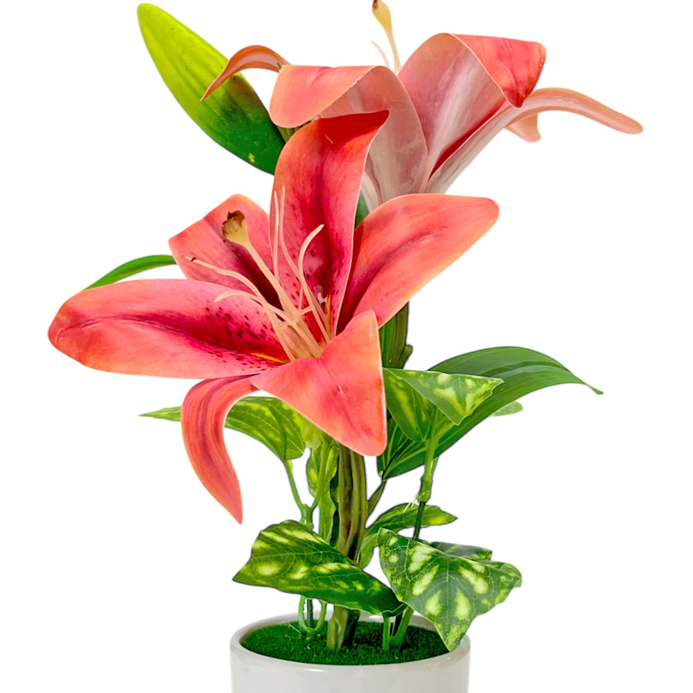 Pote Decorativo Con Orquideas Home Elegance 3" / Surtidos
