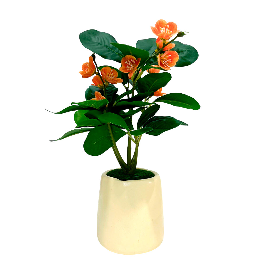 Planta Decorativa Home Elegance - 30 cm - Surtido