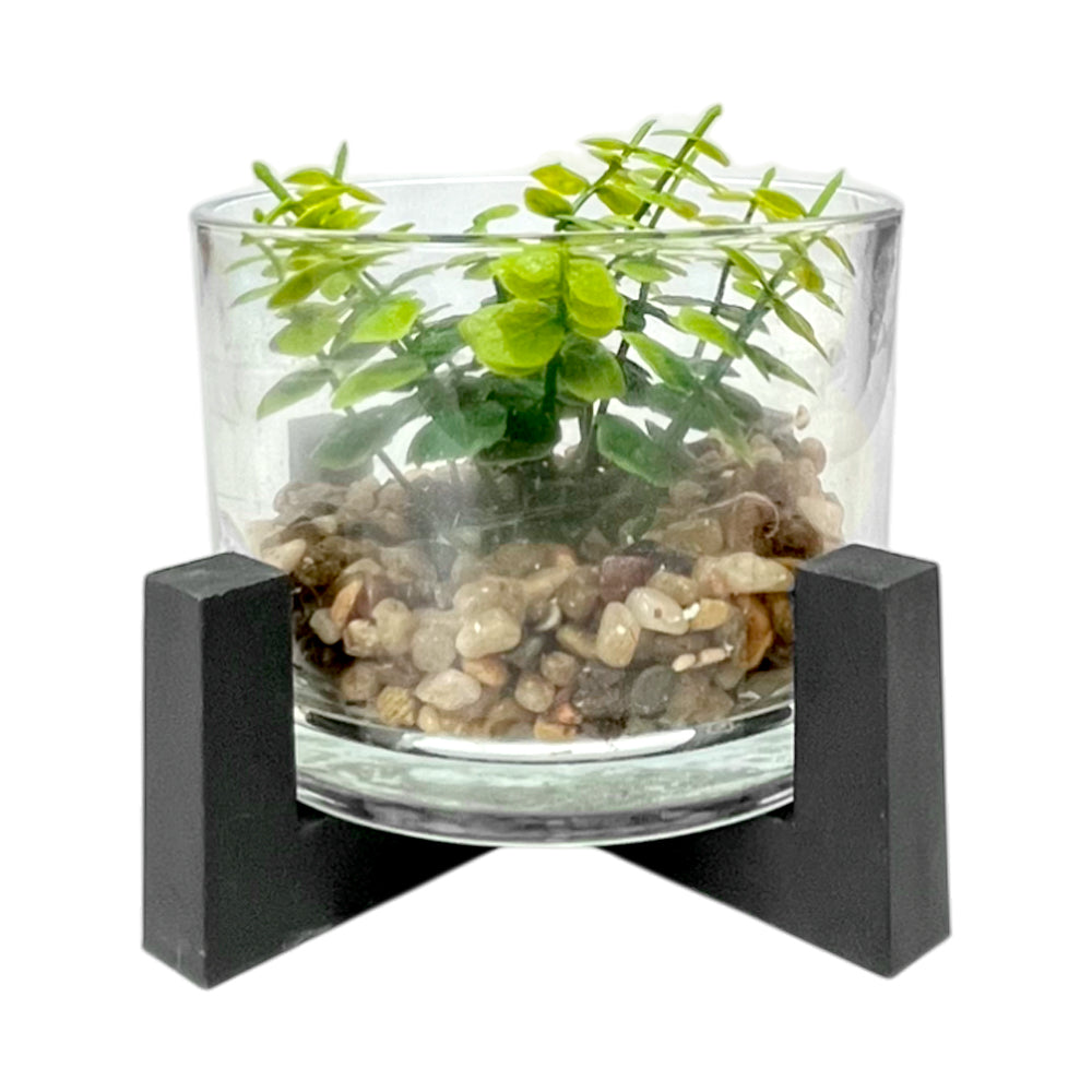 Pote Decorativo de Vidrio Home Elegance 3.1"x4.3" / Con Plantita / Surtido