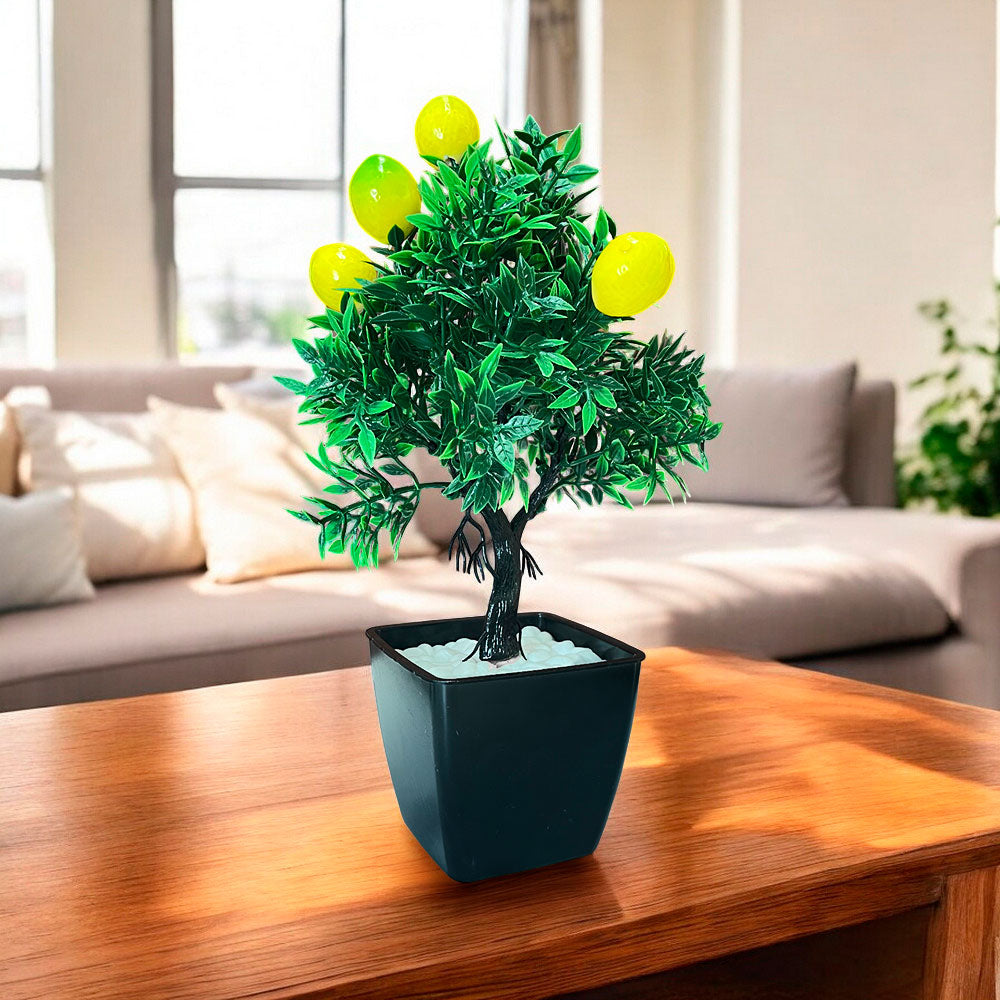 Pote Decorativo 12.5" Gelincik Dekor Con Plantita - Surtido