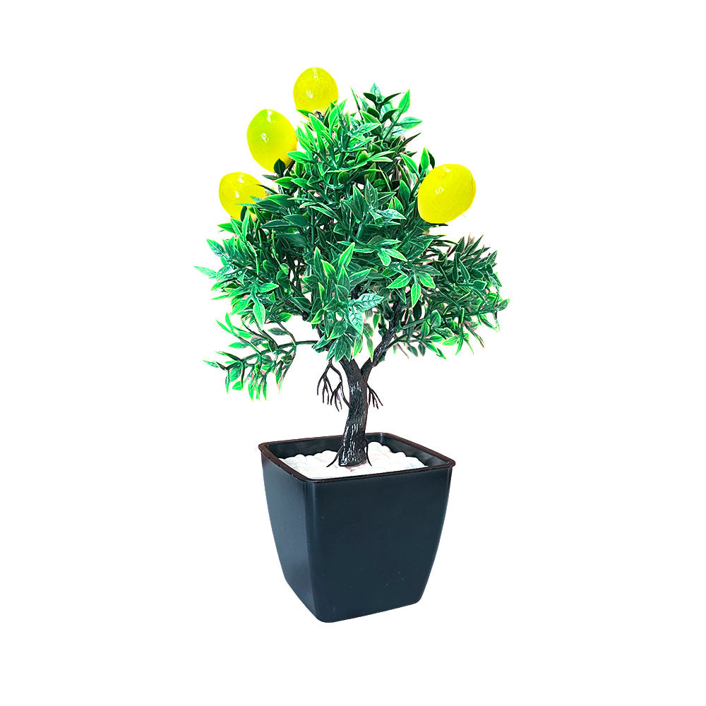 Pote Decorativo 12.5" Gelincik Dekor Con Plantita - Surtido