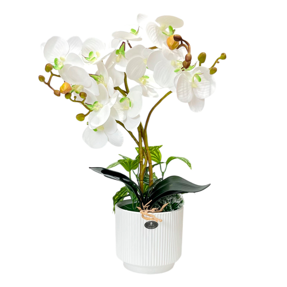 Pote Decorativo con Orquídea / Home Elegance