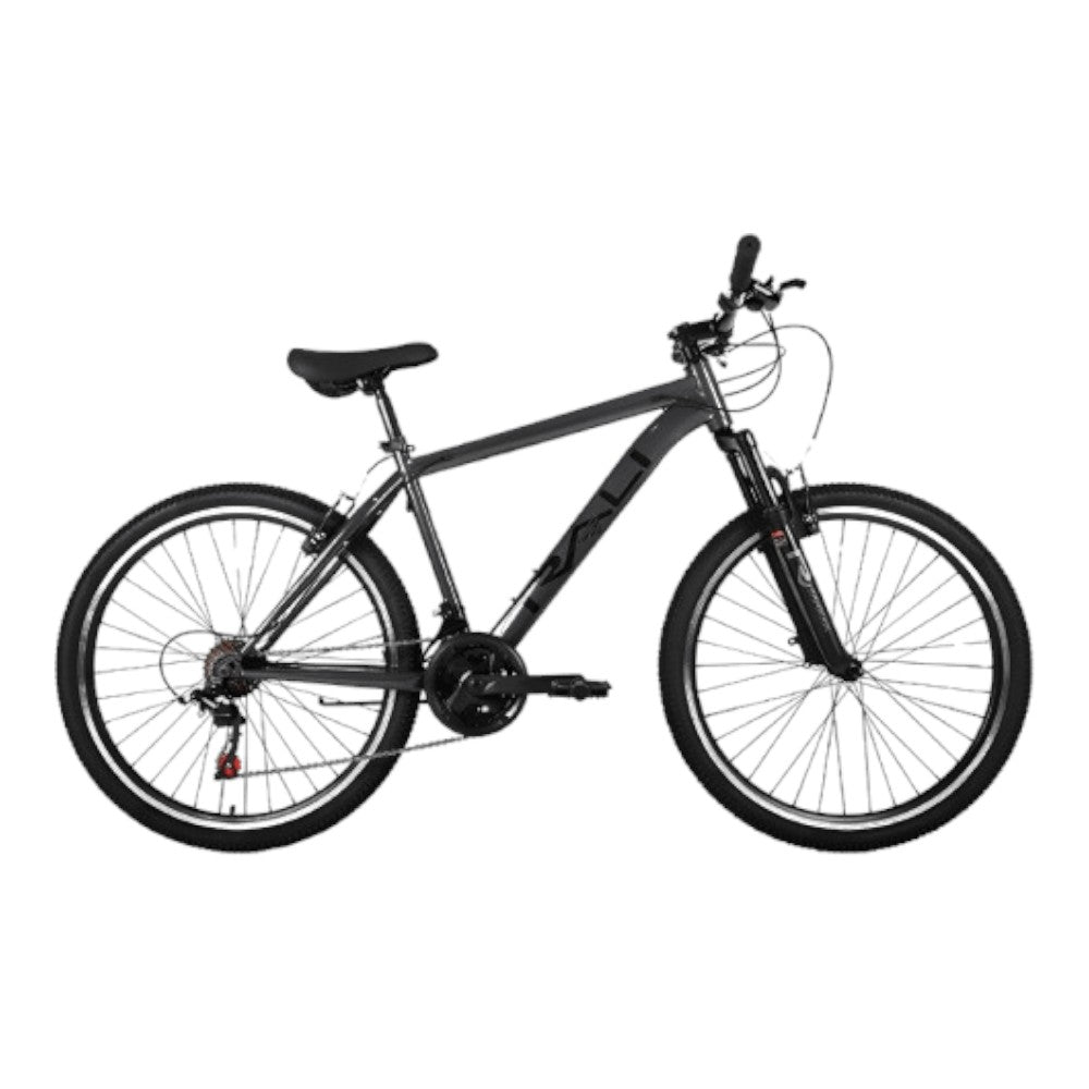 Bicicleta Rali 29" / MTB R1 T-M / Gris
