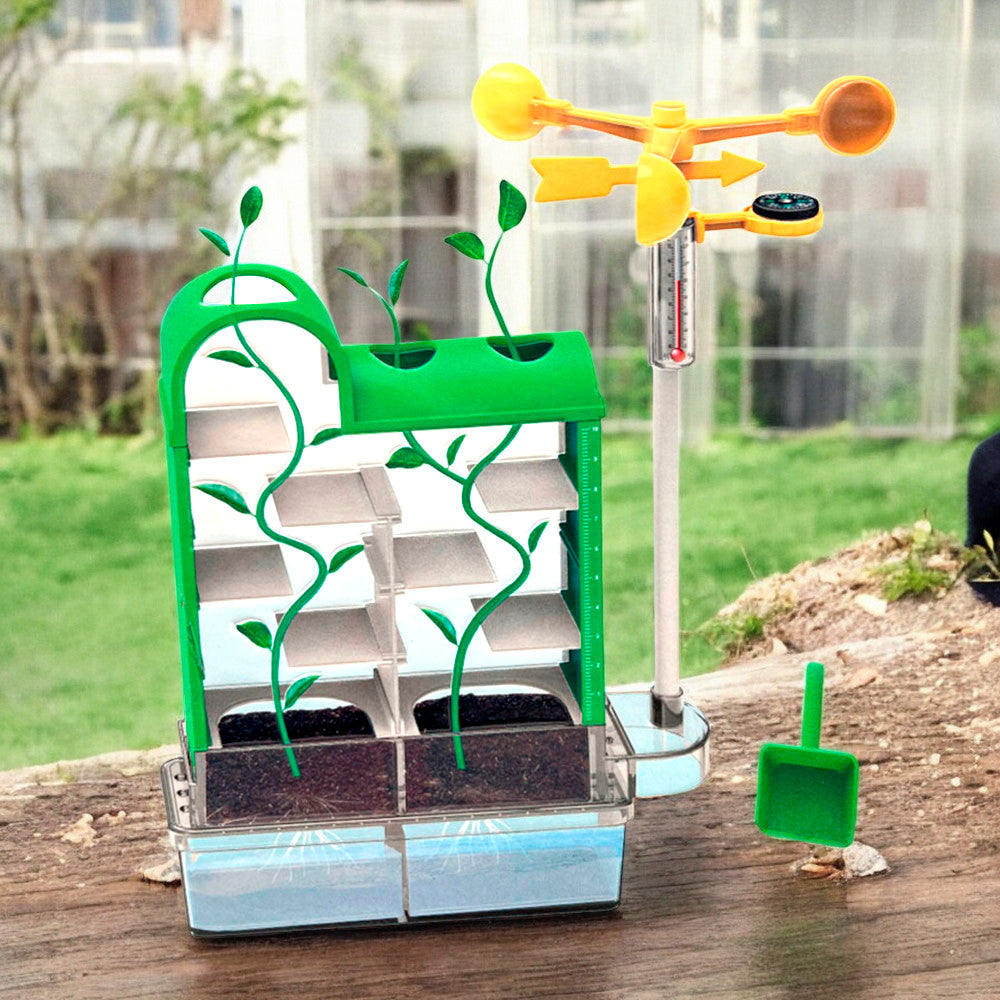 Juego De Stem Laberinto De Plantas