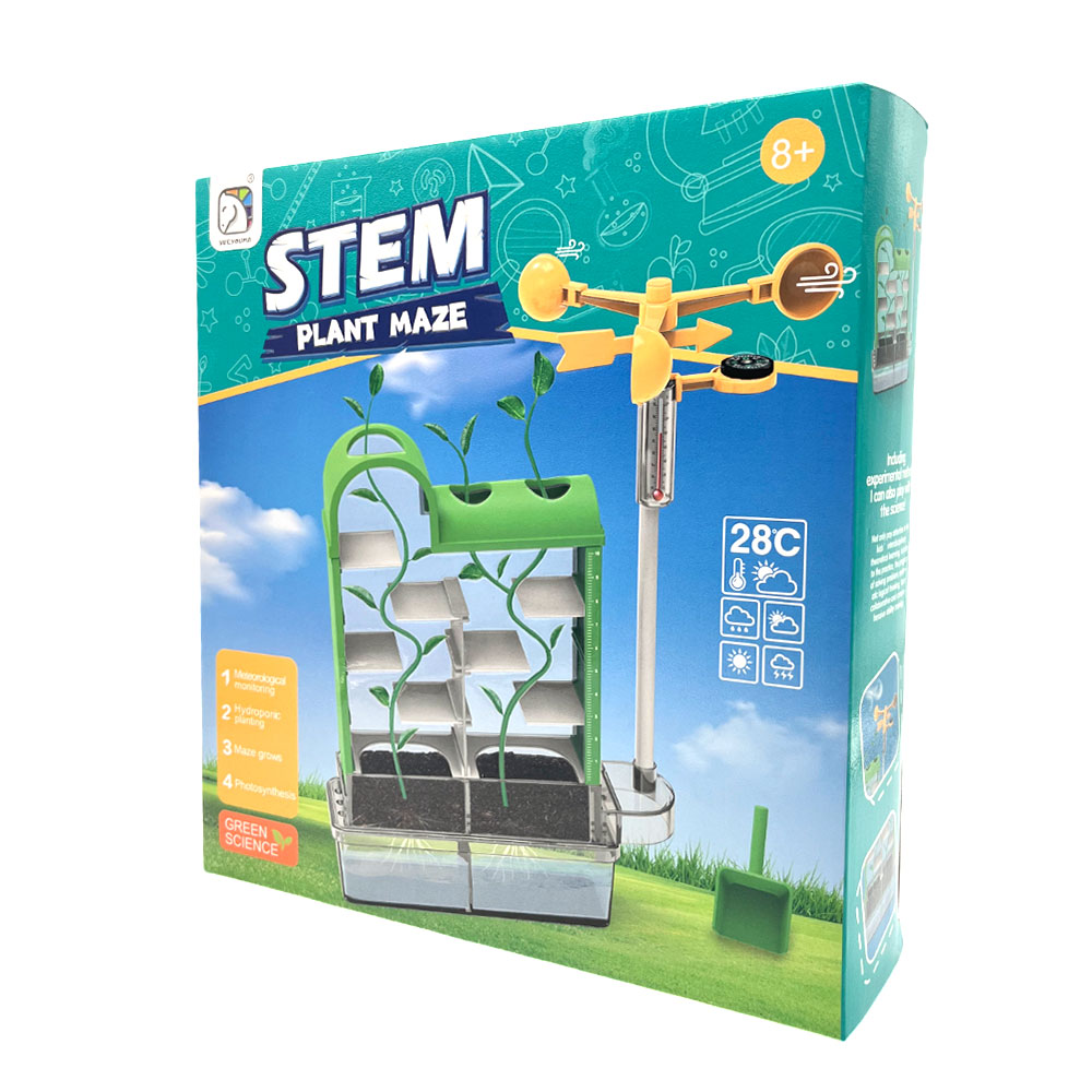 Juego De Stem Laberinto De Plantas