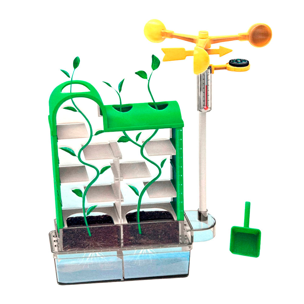 Juego De Stem Laberinto De Plantas