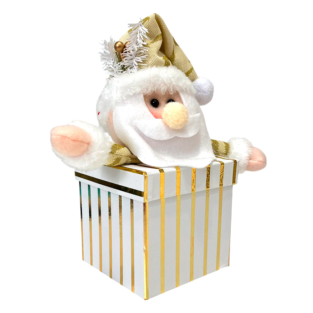Adorno Navideño Caja con Muñeco / 23 cm / Surtido / Miró Christmas