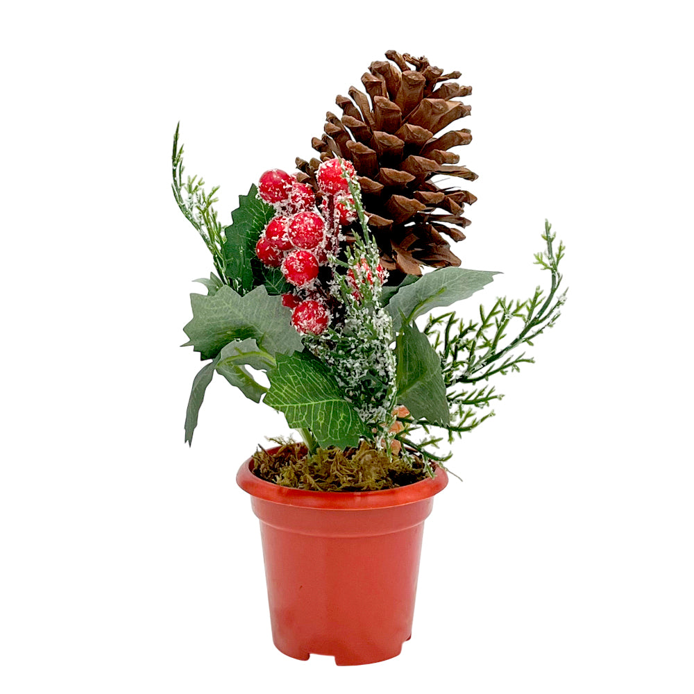 Pote Decorativo Navideño Miro Christmas / 23Cm / Green-Red