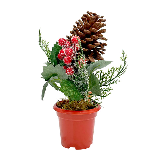 Pote Decorativo Navideño Miro Christmas / 23Cm / Green-Red
