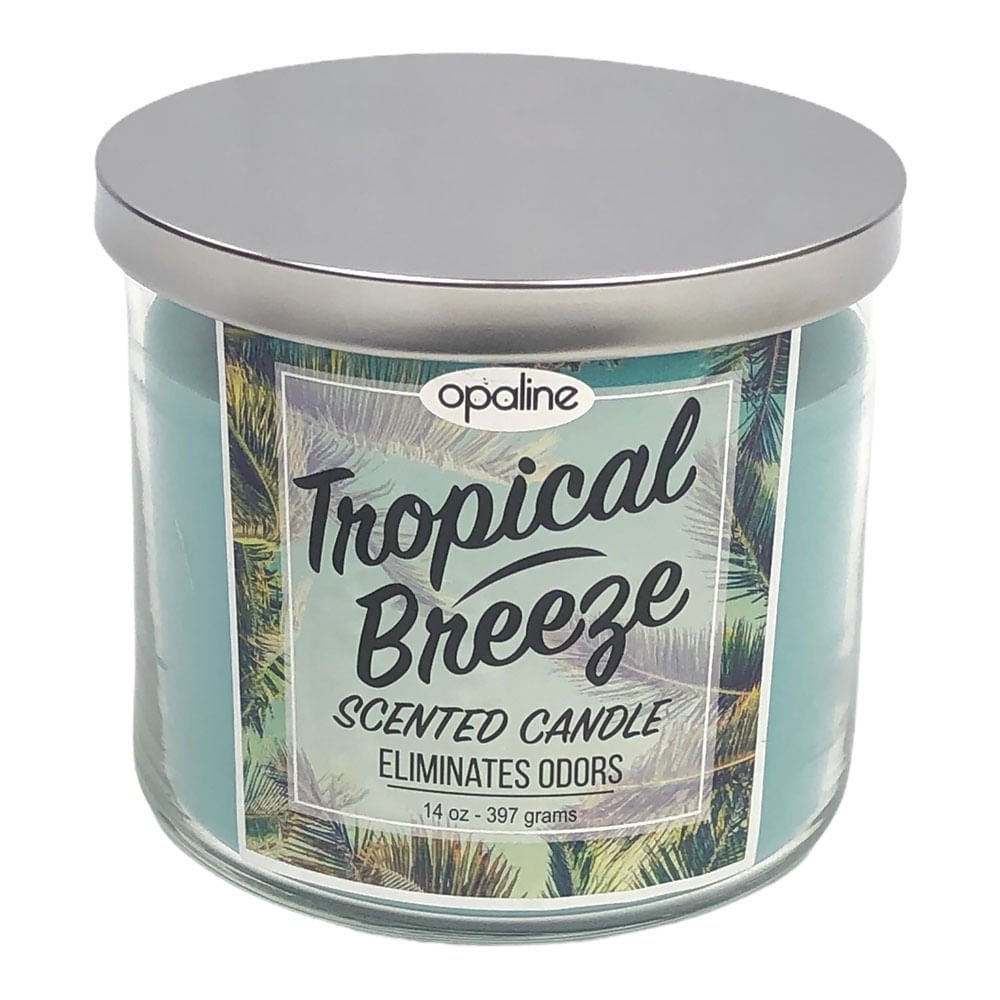 Vela Aromática Maxs Wholesale Tropical Brezze 14 oz - Azul claro