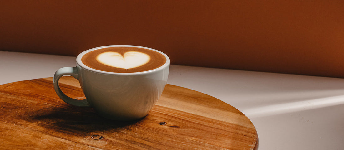 Novedades Titán Panamá | Café latte cremoso estilo cafetería con cafetera espresso Ninja