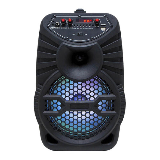 Bocina Sankey Recargable Con Bluetooth 8 "