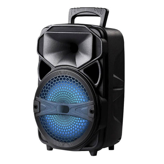 Bocina Sankey Recargable Con Bluetooth 8 "