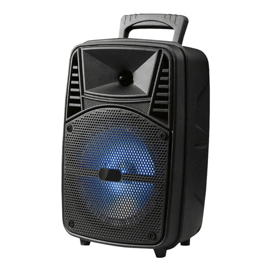 Bocina Sankey Recargable Con Bluetooth 8 "