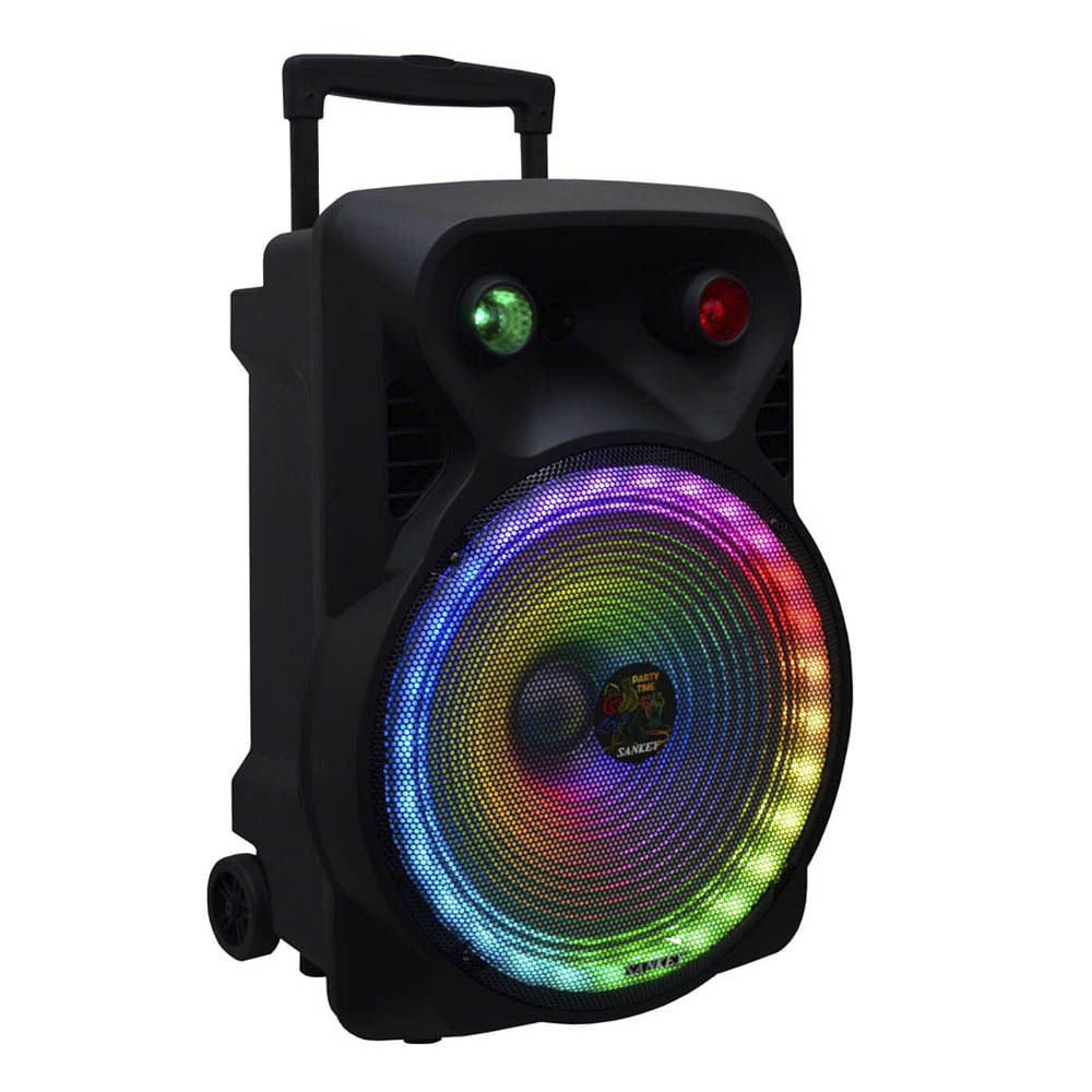 Bocina Sankey Recargable Con Amplificador 15 "