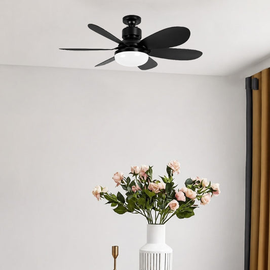 Abanico de Techo 20" Carbone Con Luz LED / 6 Aspas / Negro
