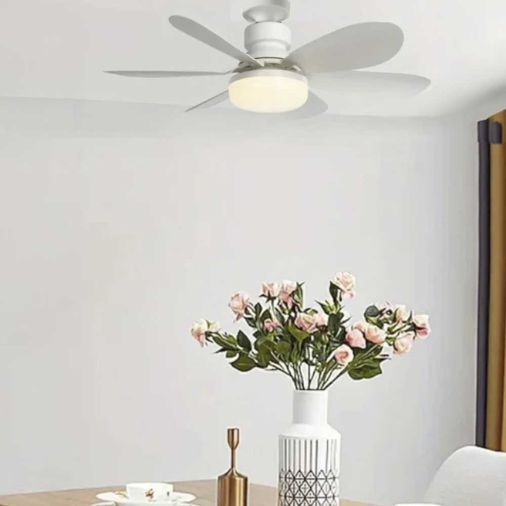 Abanico de Techo 20" Carbone Socket E27 /6 Aspas - Carbone - Titan.com.pa - 7452999796281