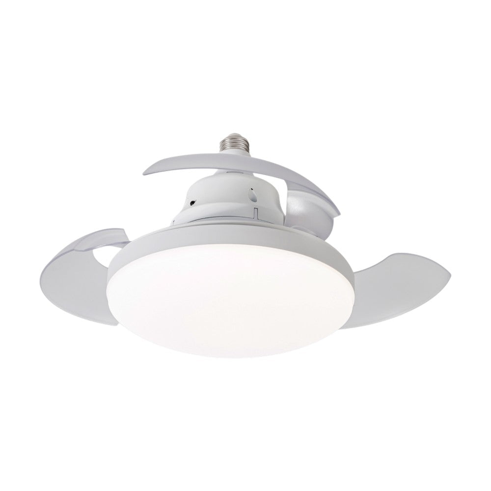 Abanico de Techo Premier 8" / Con Lampara Y Control - Premier - Titan.com.pa - 7453064749737