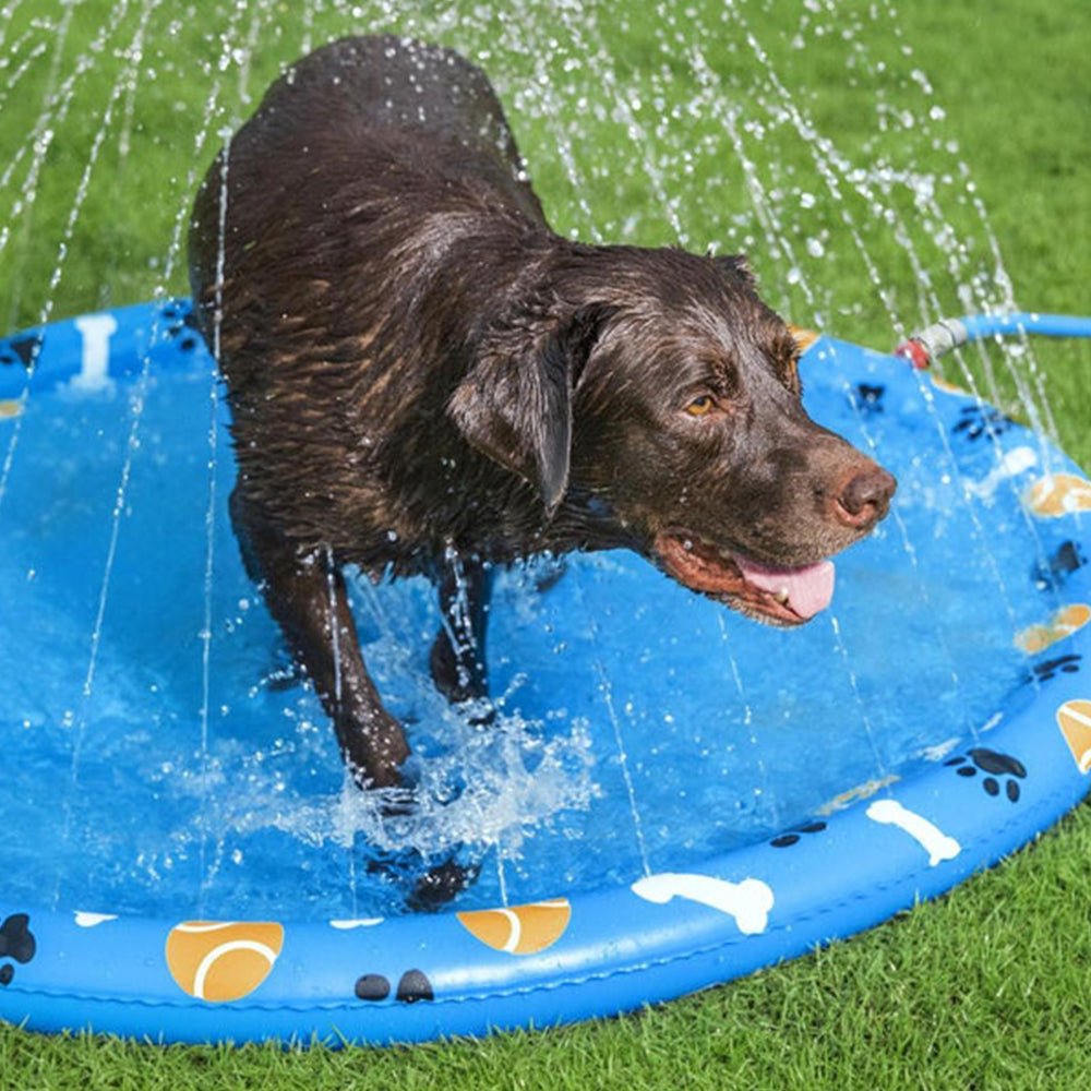 Almohadilla Para Salpicaduras Para Mascotas 58” Bestway - Best Way - Titan.com.pa - 6941607364345