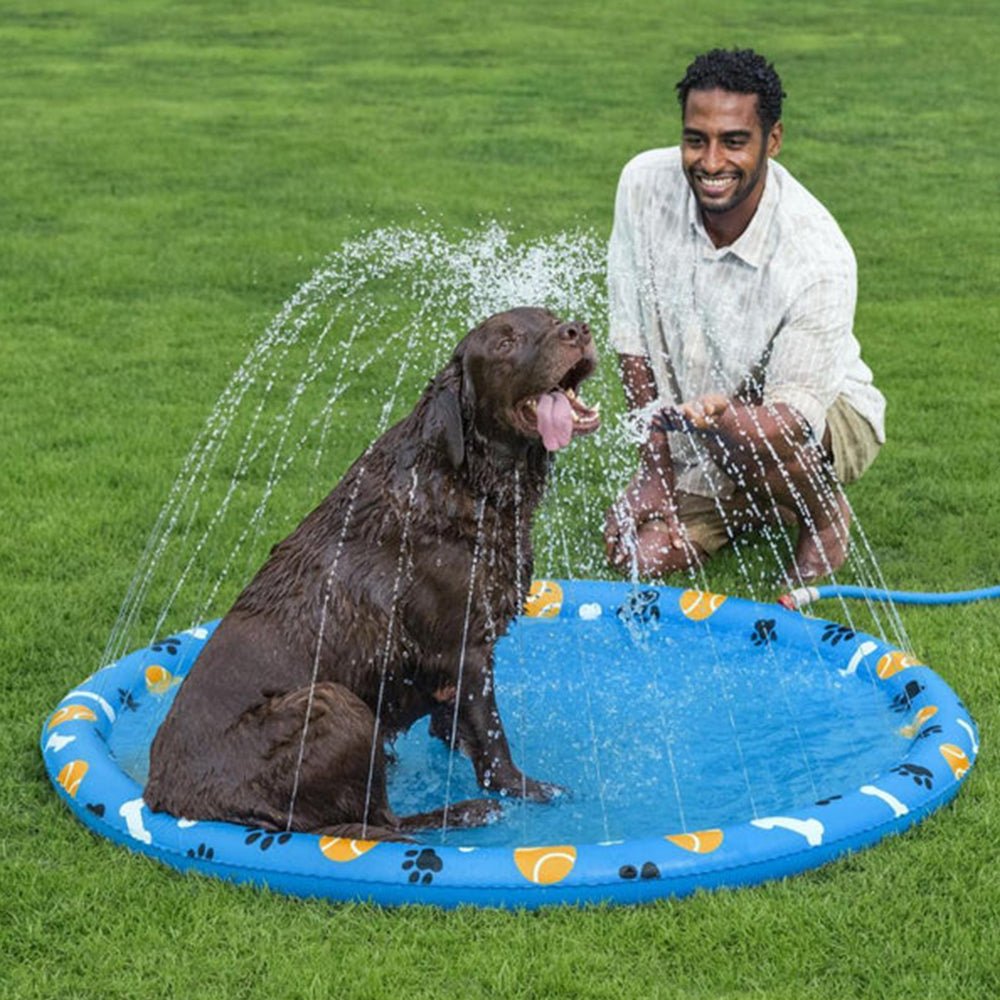 Almohadilla Para Salpicaduras Para Mascotas 58” Bestway - Best Way - Titan.com.pa - 6941607364345