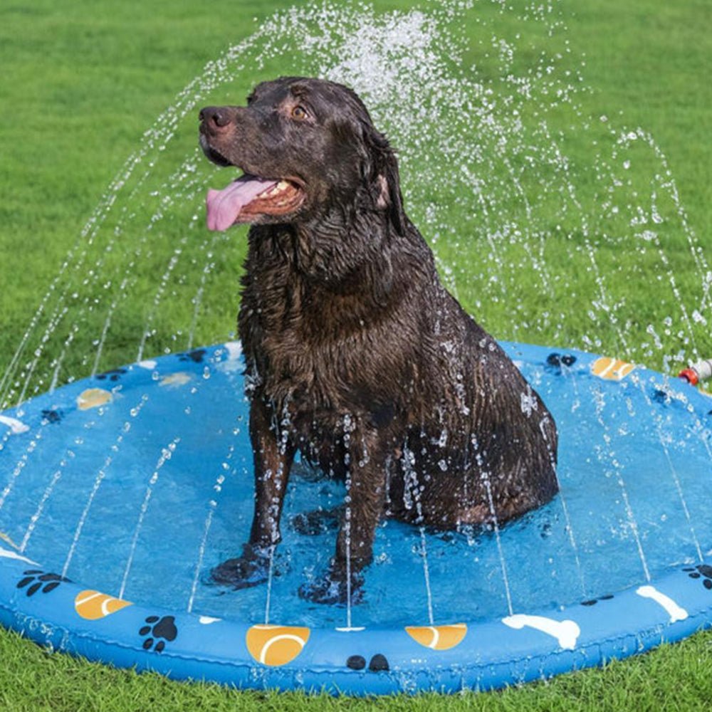 Almohadilla Para Salpicaduras Para Mascotas 58” Bestway - Best Way - Titan.com.pa - 6941607364345