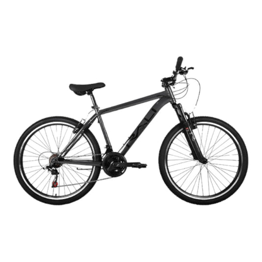 Bicicleta Rali 29" / MTB R1 T - M / Gris - Rali - Titan.com.pa - 7453003215231