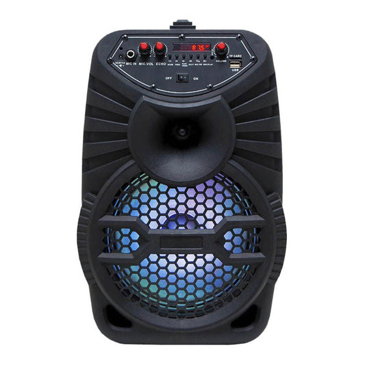 Bocina Sankey Recargable Con Bluetooth 8 "