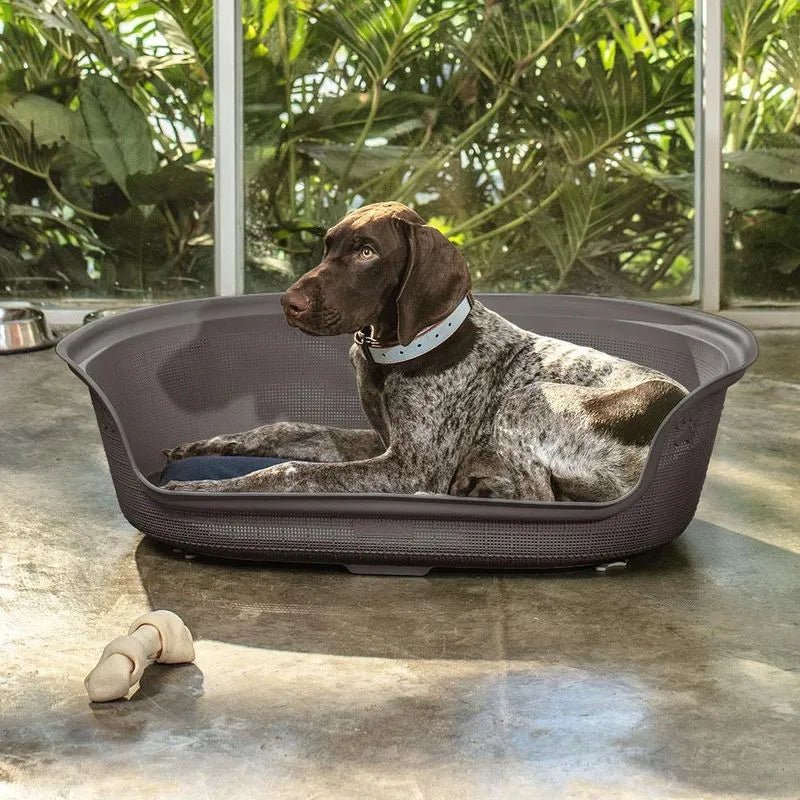 Cama Rimax Para Perro Mocca - Rimax - Titan.com.pa - 7705152132106