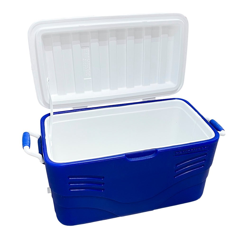 Cooler Plástico Grande con Agarrador / Princeware - Princeware - Titan.com.pa - 808349347905