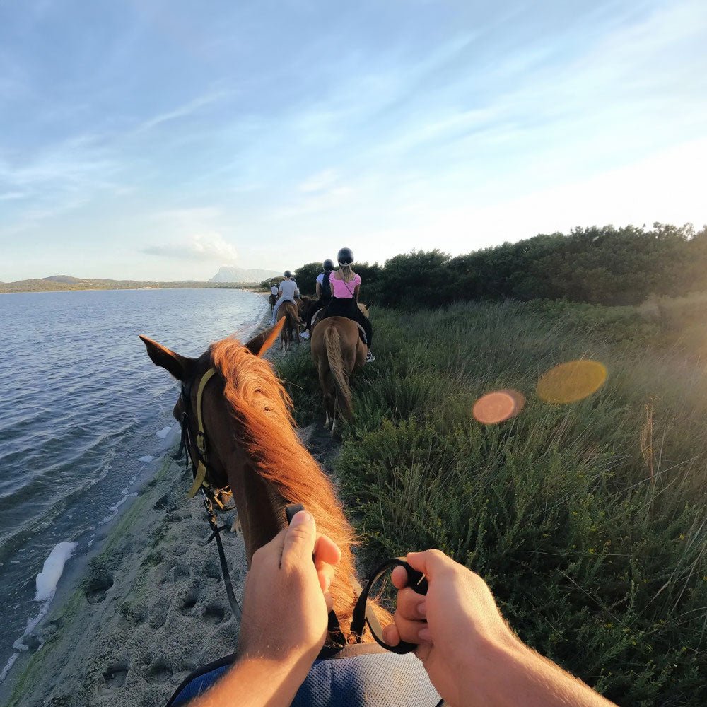 Correa Para La Cabeza 2.0 GoPro Para Cámara - GoPro - Titan.com.pa - 810116380060