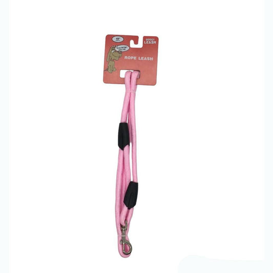 Correa Regent para Perro Surtida