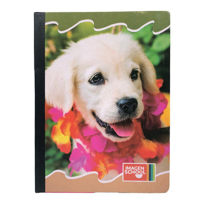 Cuaderno Cosido Imagen School Doble Raya 200 Páginas - Surtido - Imagen School - Titan.com.pa - 7450043001732