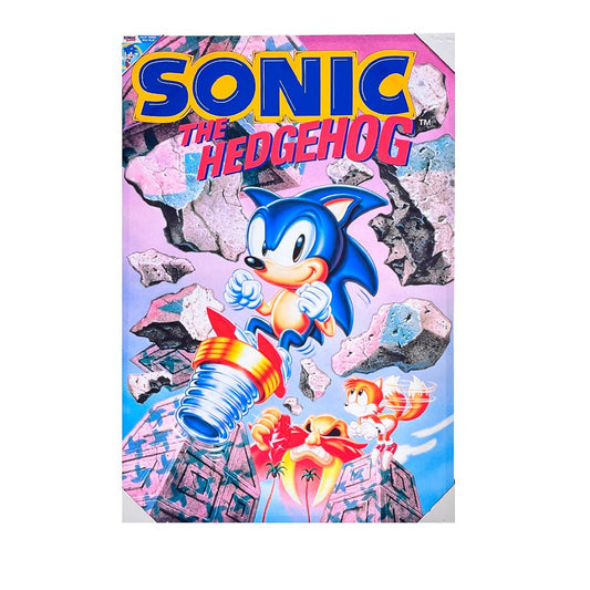 Cuadro Canvas Decorativo 24” X 36” Sonic The Hedgehog - Sonic - Titan.com.pa - 638211962130