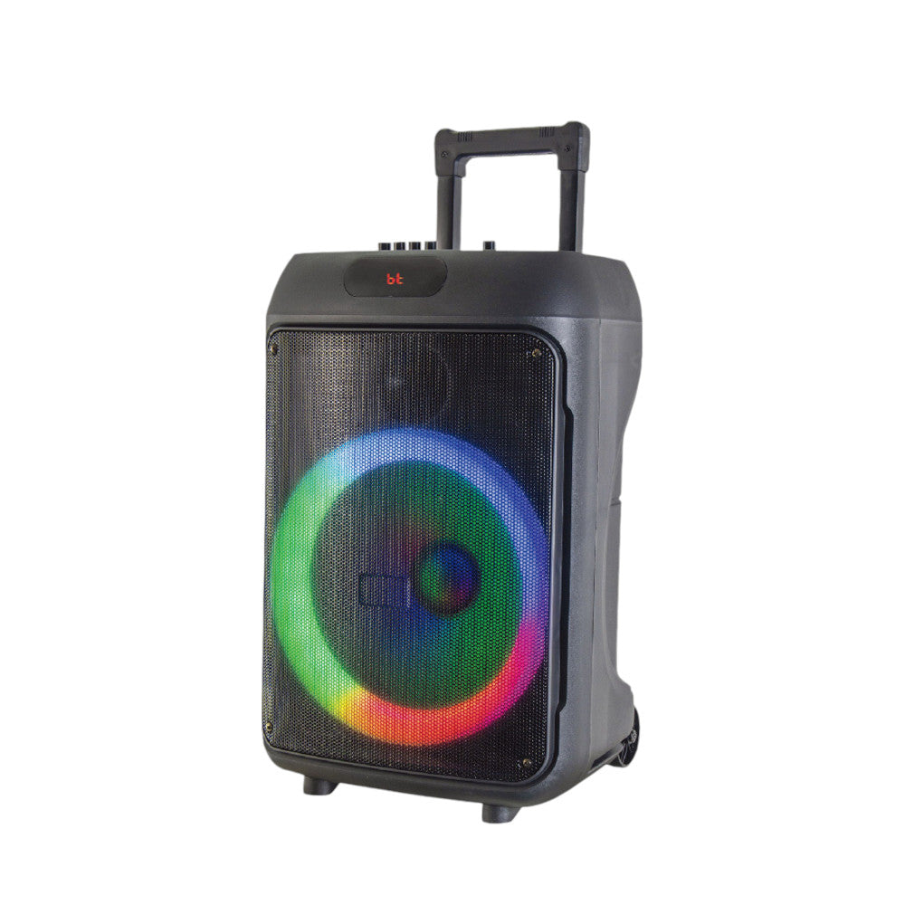 Bocina Sankey 12" / Bluetooh / Luces LED