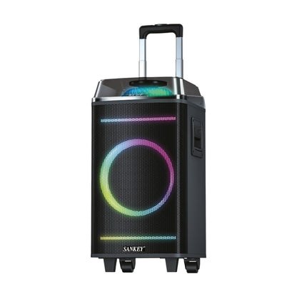 Bocina Sankey PA-10DCN48 / 10” / 60W / Bluetooth  