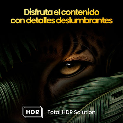 Televisor Hisense 55" | Smart TV | QLED | 55Q6N