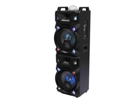 Bocina Premier Recargable 10"