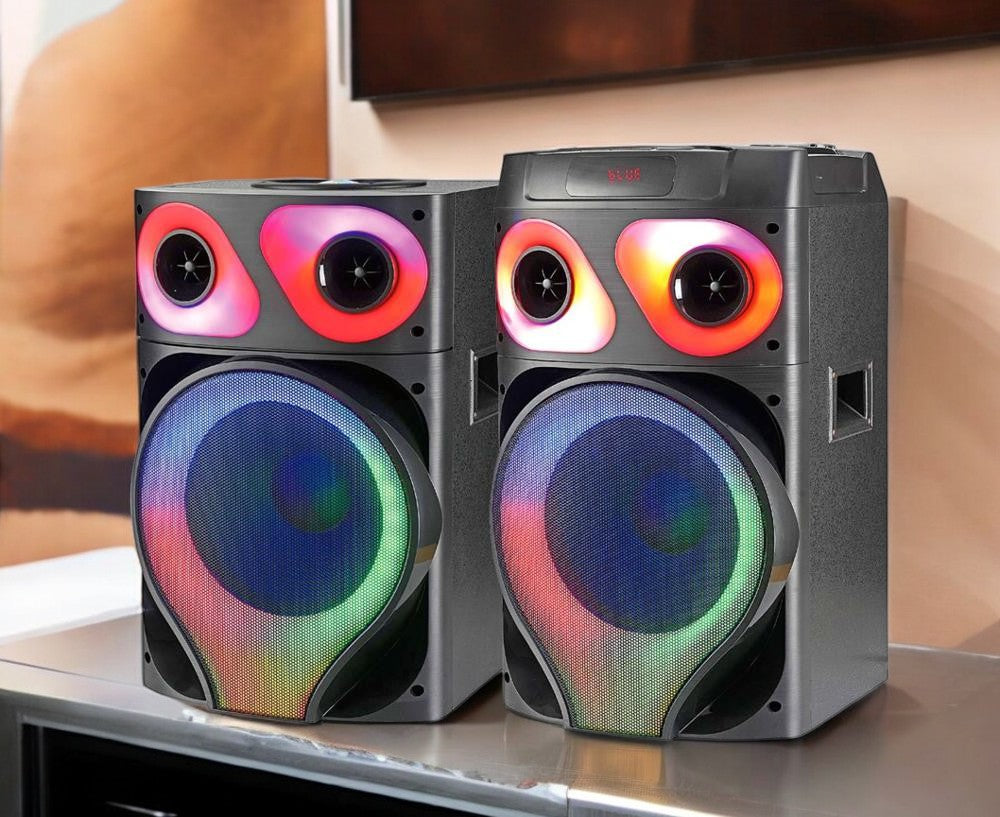 Bocina Sankey Doble 12" 60 W