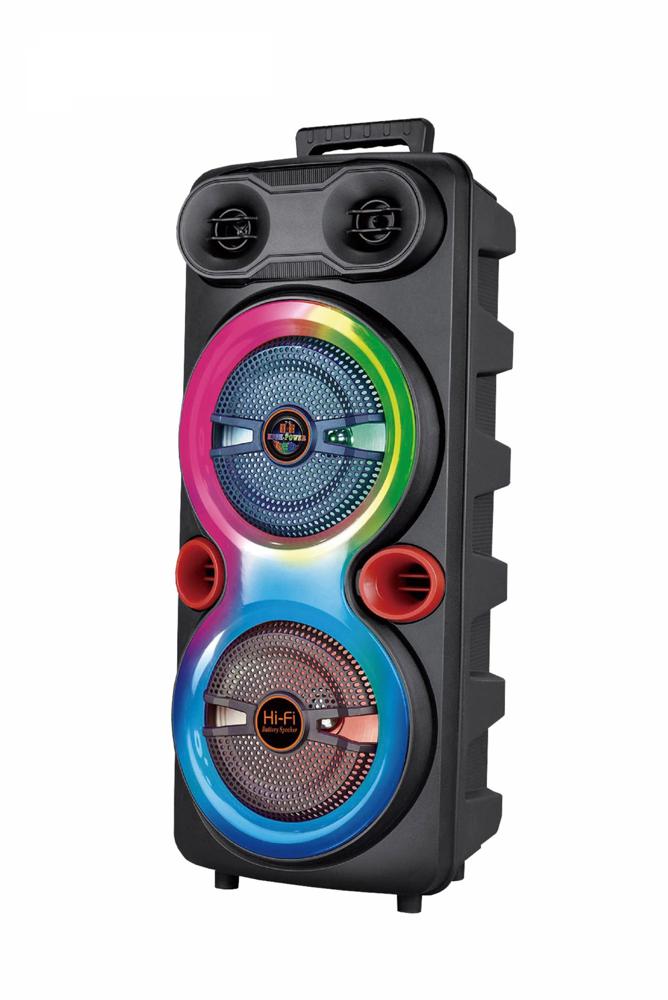 Bocina Sankey Recargable X2 8"